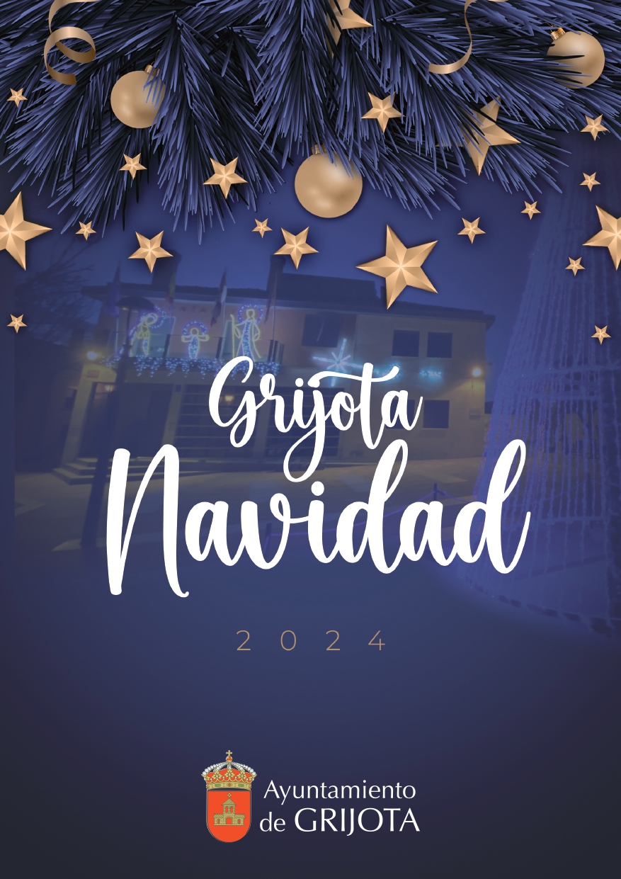 Programa Navidad 2024